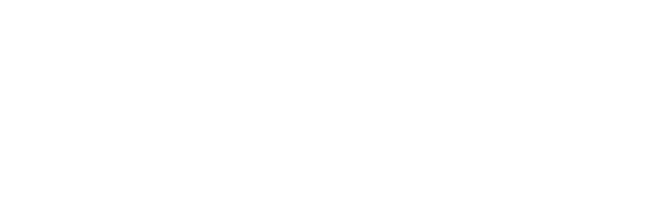 VIPetPlan_BySnout-white